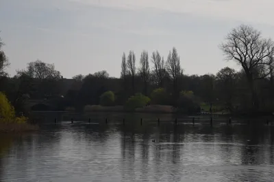 DSC_6896 (Large).JPG